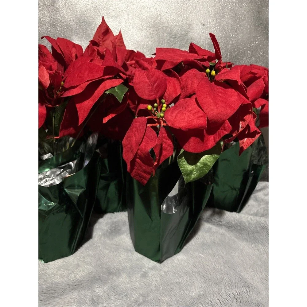 Ashland Red Poinsettia in Decorative Pot Large Lot Of 4